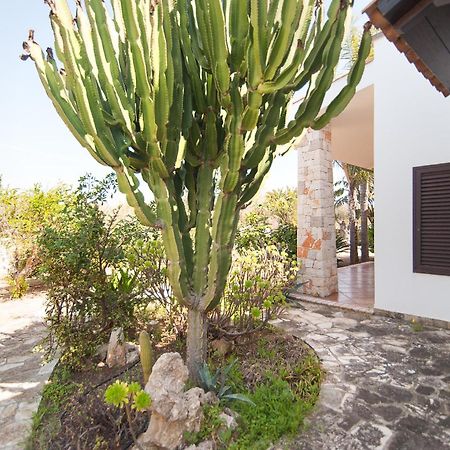 Villa Rose Marina di Mancaversa Zewnętrze zdjęcie